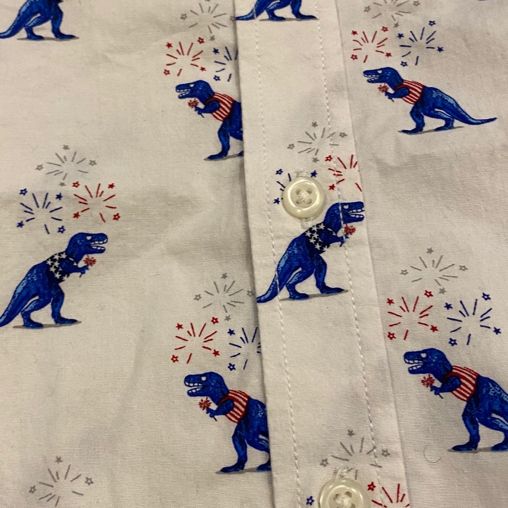 5 button down shirt bundle - Picture 6 of 13